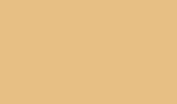 ral 1000 gruenbeige_1