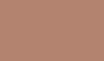 ral 1019 graubeige_1